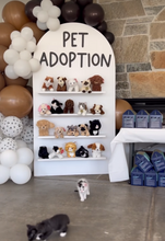 Load image into Gallery viewer, Foam signs and cutouts