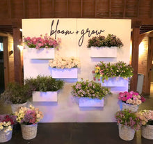 Load image into Gallery viewer, 7x7 flower box wall rental
