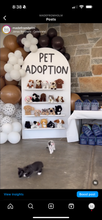 Load image into Gallery viewer, 5ft arch shelf favor wall rental