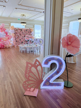 Load image into Gallery viewer, Pink Flower Wall
