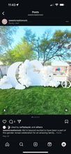 Load image into Gallery viewer, 6 ft Moon and clouds
