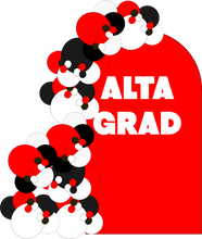 Load image into Gallery viewer, Graduation Party Setup
